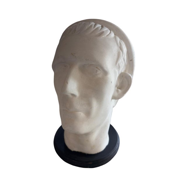 Vintage Italian wait Plaster Roman Head – Grand Tour Souvenir with a Black Wood Base.