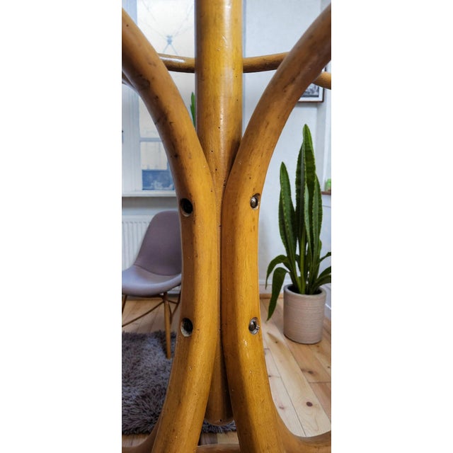 Wood Vintage Parrot Coat Rack from Baumann, 1930s For Sale - Image 7 of 9