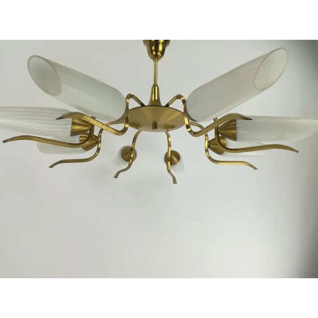 Vintage Brass and Glass Chandelier, 1960s For Sale - Image 4 of 12