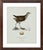 Robin's Egg Blue William Lewin 1789 Waterbirds Fine Art Gallery Board Print - The Spotted Gallinule For Sale - Image 8 of 15