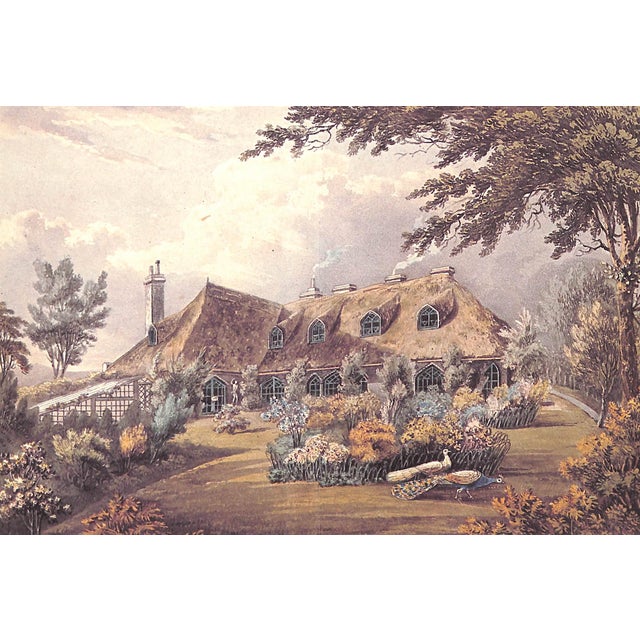 Paper "A Garden Alphabet" 1979 Harris, John For Sale - Image 7 of 12