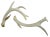 Natural Antlers – a Pair For Sale - Image 4 of 5