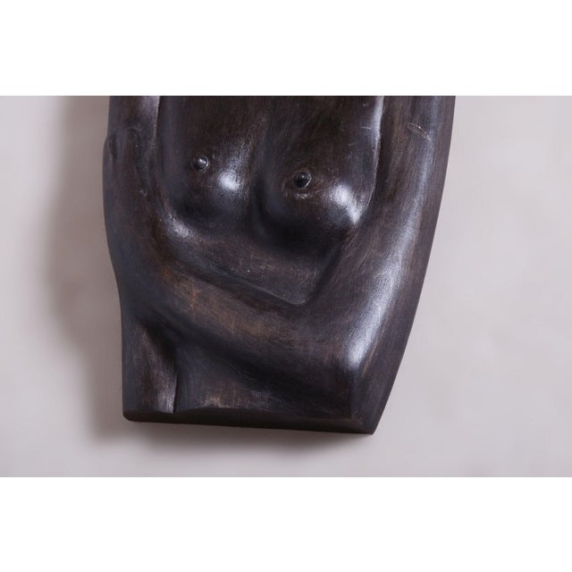 African Wall Decor in Lacquered Ebony, 1920s For Sale - Image 4 of 8