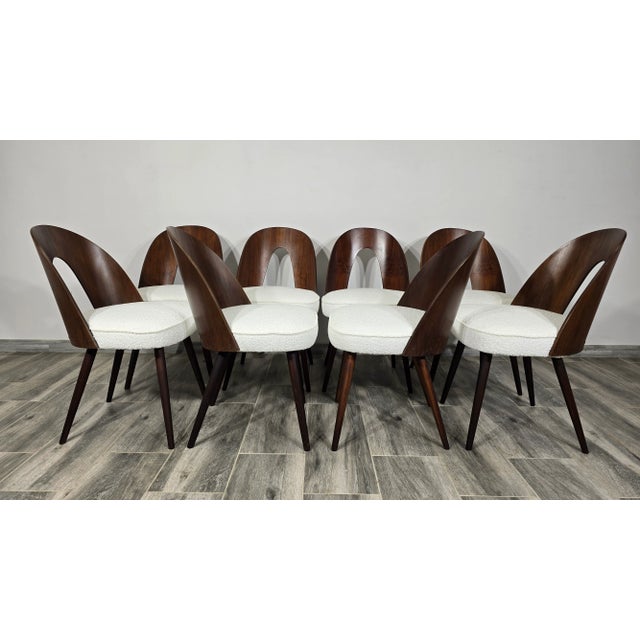 Dining Chairs by Antonin Suman, 1960s, Set of 8 For Sale - Image 4 of 11