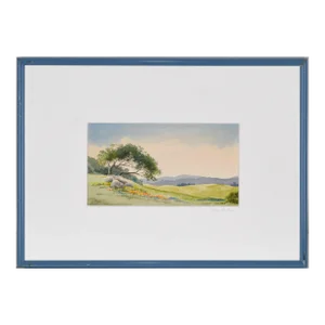"Ridge Oak" Northern Mt Tamalpais California Watercolor 1991 by J Gallagher