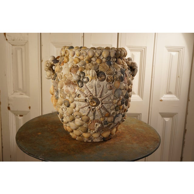 Coastal Grey Shell Vase For Sale - Image 4 of 5