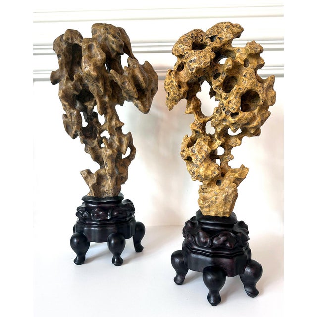 Yellow Chinese Yellow Scholar Taihu Stone on Wood Stand For Sale - Image 8 of 13