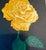 Painting "Yeehaw Texas" Yellow Rose Original Acrylic Painting on 8x10 Stretched Canvas Signed C.Gilliam For Sale In Providence - Image 6 of 7