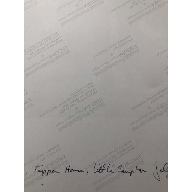 Peter C. Jones 1, Basket of Lilies, Large Format Flowers Photo 24X20 Color Photograph Beach House, 2002 For Sale - Image 4 of 7