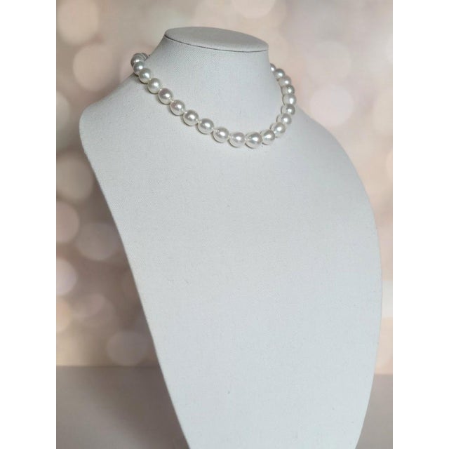 South Sea White Pearl Necklace With 14k Gold Clasp For Sale In Cleveland - Image 6 of 11