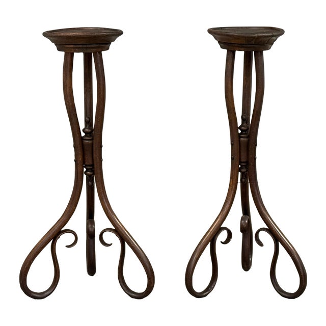 One 19th Century Bentwood Flower Pot Stand by J.&j. Kohn For Sale