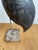 Vintage Garden Heron Sculpture For Sale - Image 10 of 11
