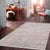 2020s Pasargad Home Transitional Silver Area Rug, 4' 0'' X 6' 3'' For Sale - Image 5 of 5