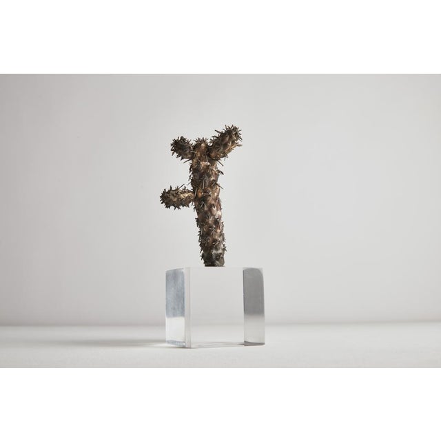Mario Buccellati, Cactus, 1970s, Silver & Acrylic Glass For Sale - Image 3 of 6