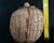 Textile Share Vintage Botswana Coiled Basket With Lid 10.5" African Tribal Art Ginger Jar For Sale - Image 7 of 11
