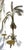 Metal Vintage Hollywood Regency Palm Tree With Hanging Date Clusters Double Candle Wall Sconce For Sale - Image 7 of 17