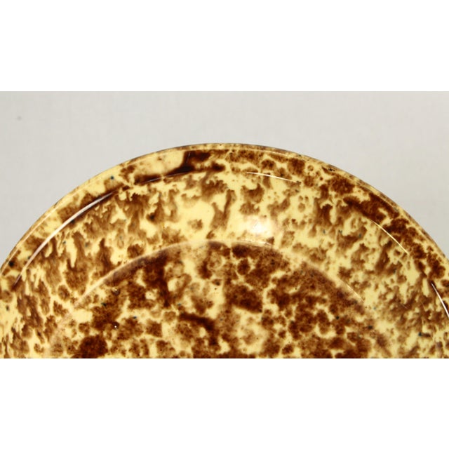 19th Century Pair of Rockingham Glaze Spatterware Yellowware Pottery Plates For Sale - Image 10 of 17