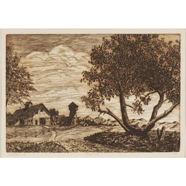 American Vintage California Wine Country Etching - "Sonoma Oak" by Louis Bobbitt For Sale - Image 3 of 6