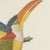 After Descourtilz, Curl-Crested, Chestnut-Eared Aracaris, 1944, Paper For Sale - Image 4 of 12