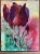 A contemporary colorful floral painting. This uplifting art piece would look great in a variety of settings. A dramatic,...