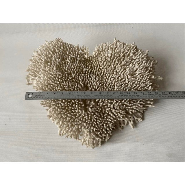 Late 20th Century Late 20th Century Wall Mounted Table Coral Heart Shape Specimen For Sale - Image 5 of 6