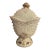 1900 Rare Northwood Argonaut Shell Custard Glass Covered Sugar Bowl Gilt Accents For Sale