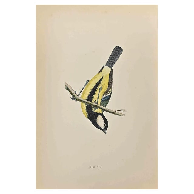 Alexander Francis Lydon, Great Tit, Woodcut Print, 1870 For Sale