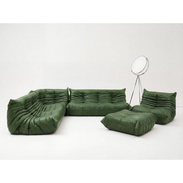 Togo Sofa Set in Green Leather by Michel Ducaroy for Ligne Roset, Set of 5 For Sale - Image 13 of 13