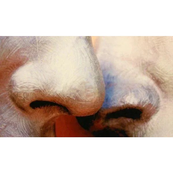 Contemporary 2010 "Lips" Color Photograph on Digital Paper by Maria Grazia Facciolà For Sale - Image 3 of 10