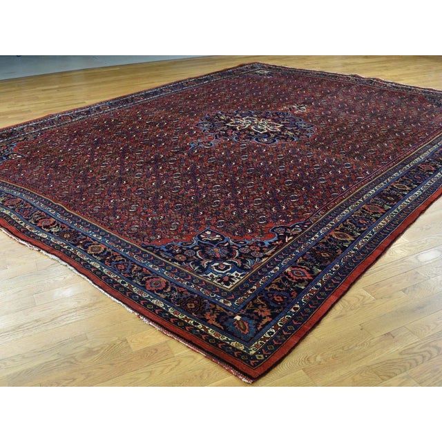 1920s 1920 Vintage Persian Bidjar Full Pile Rug For Sale - Image 5 of 13