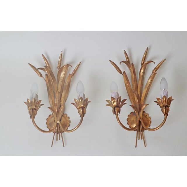 Hollywood Regency Golden Wall Lamp with Wheat Ears from Hans Kögl, 1960s, Set of 2 For Sale - Image 11 of 12