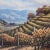 Traditional Framed Signed Sung Kim Vineyard Village Print For Sale - Image 3 of 11