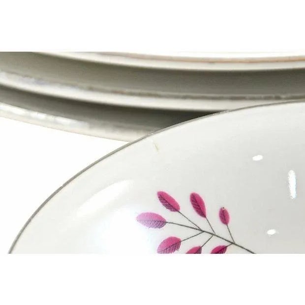Farmhouse Mid 20th Century Farmhouse Pink Bavarian Dinner Service - Set of 16 For Sale - Image 3 of 6