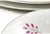 Farmhouse Mid 20th Century Farmhouse Pink Bavarian Dinner Service - Set of 16 For Sale - Image 3 of 6