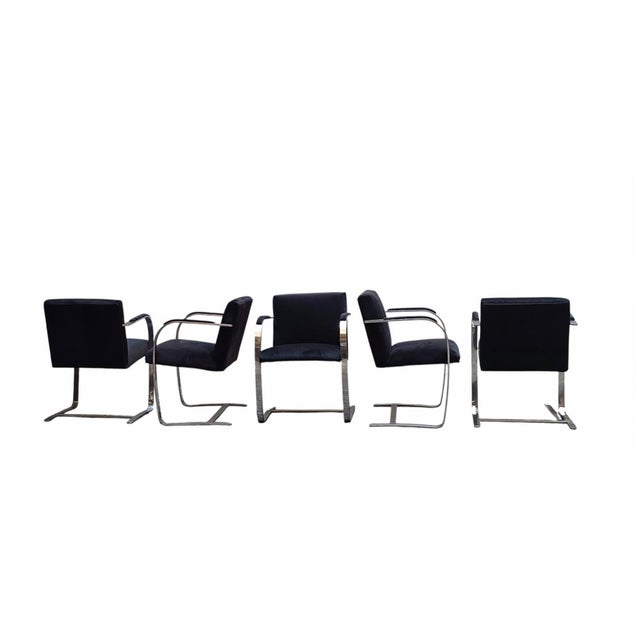 1970s Brno Chairs by Ludwig Mies Van Der Rohe for Knoll, Italy, 1970s, Set of 5 For Sale - Image 5 of 6