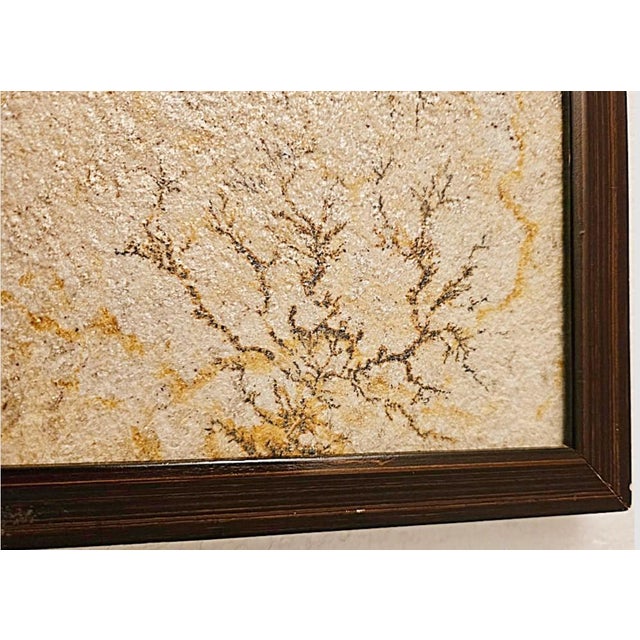 Tribal Antique Brazilian Sandstone Framed Plaque Dendrite Fossil Ferns Miniature Geologic Fern For Sale - Image 3 of 14