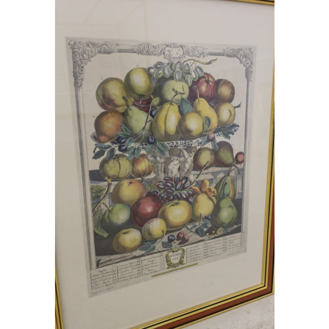 Colonial Williamsburg Dietz Press Botanical Print December Chairish