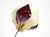 Symanka-Sy 1 Floor Lamp by Günter Ssymmank, Germany, 1959 For Sale - Image 15 of 18