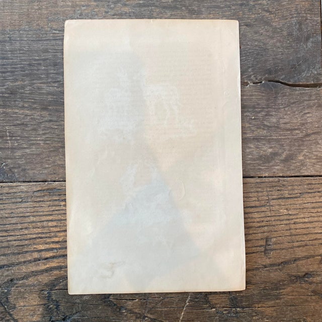 French Antique 18th Century "La Gazelle" Animal Engraving Hand Colored Signed Artwork For Sale - Image 12 of 12