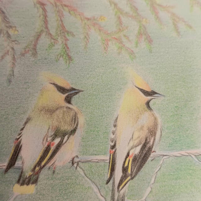 Cedar Waxing Birds Giclee Print Tamlyn Akins Soft Pastel Colors Mat Framed 13x17 For Sale - Image 9 of 16