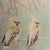 Cedar Waxing Birds Giclee Print Tamlyn Akins Soft Pastel Colors Mat Framed 13x17 For Sale - Image 9 of 16