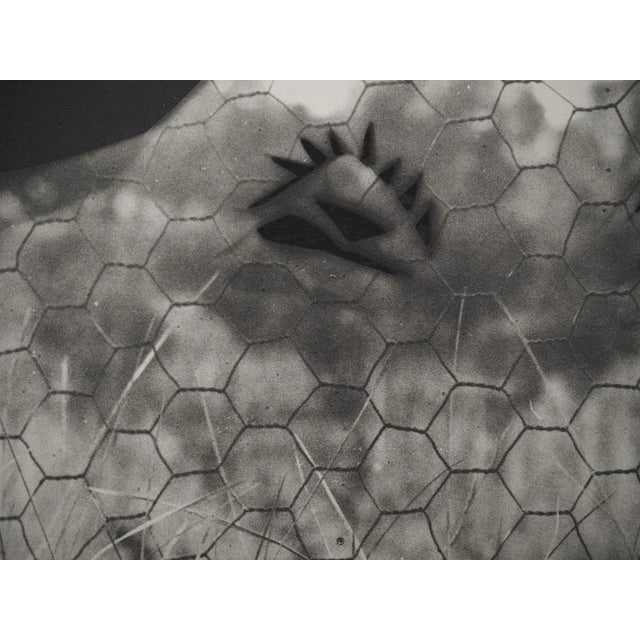 Modern Pablo Picasso, Diurnal, The Goat at the Fence, Original Phototype For Sale - Image 3 of 6