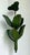Green Vintage Green Banana Leaf Six Arm Chandelier For Sale - Image 8 of 12
