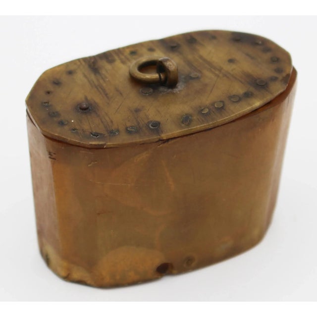 Early 19th Century 1800s Snuff Box of Ram's Horn and Wood For Sale - Image 5 of 10