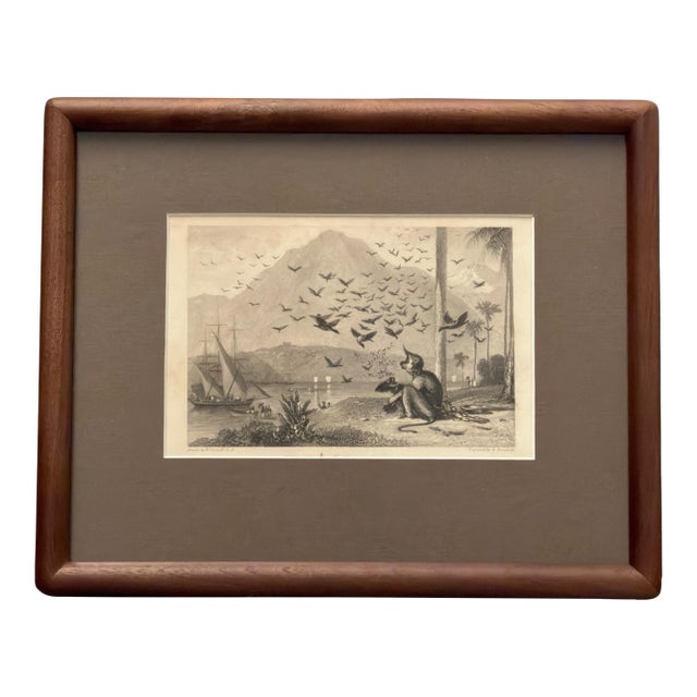 1836 Antique Monkey and Crows Engraving by William Daniell R.A. & Brandard, Framed For Sale