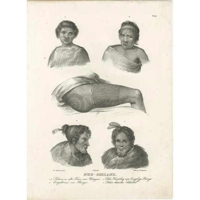 Dumont d’Urville, Portraits of Maori Life and Tattoo Art in New Zealand, 1836, Print For Sale - Image 3 of 7