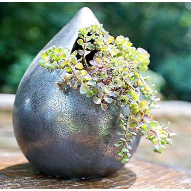 Minimalist Ceramic Succulent Planter Teardrop Votive Candle Holder For Sale - Image 10 of 10