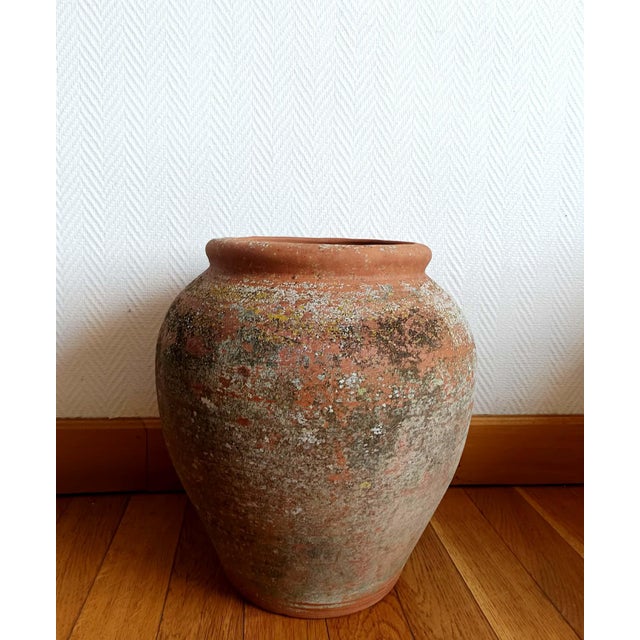 Terracotta Garden Jar, 1950s For Sale - Image 3 of 10