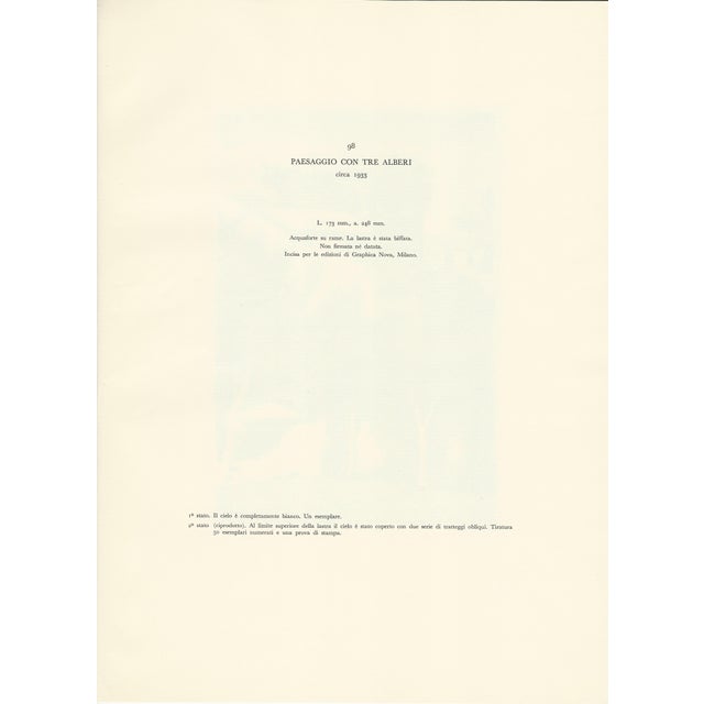 1950s Giorgio Morandi, Landscape with Three Trees, 1933-1957, Lithograph For Sale - Image 5 of 7