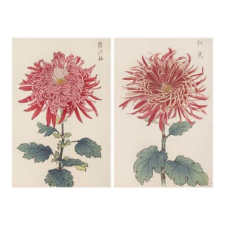 Ruby Petals Diptych – Vintage Japanese Botanical Prints (Set of 2), 40" X 60" For Sale